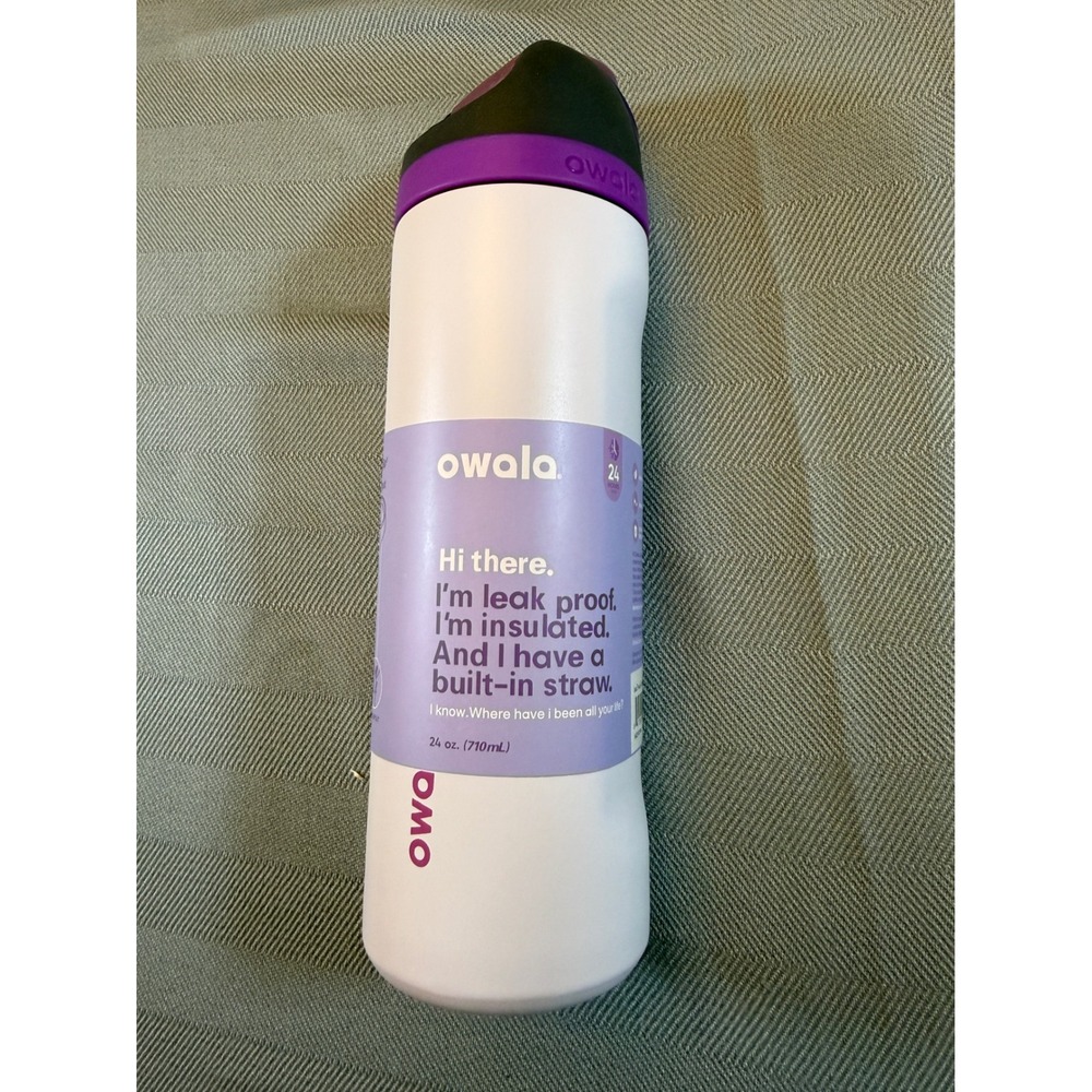 Owala FreeSip 24oz Insulated Stainless Steel Water Bottle Dreamy Field Purple